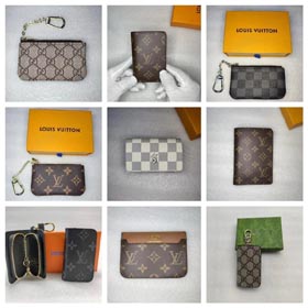 Louis Vuitton/Gucci Kartenetui  