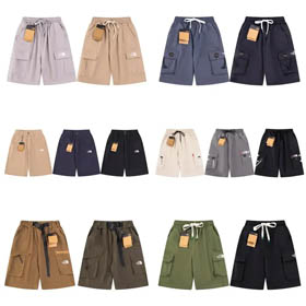 Die North Face Shorts  